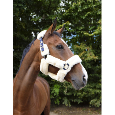Capezzina Equithème Teddy Marina / écru Blu