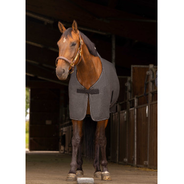 Camicia Equithème Mélange Grigio melange