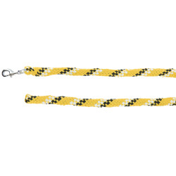 Longe Equithème Tyrex Bianco / nero / giallo