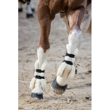 Stinchiere Norton XTR con bottoni in montone sintetico Blu navy