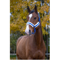 Capezzina Norton Confort Blu navy Capezzina Norton Confort Blu navy