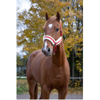 Capezzina Norton Confort Rosso