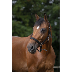 Capezzina Norton in nylon foderata in neoprene Nero