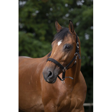 Capezzina Norton in nylon foderata in neoprene Nero