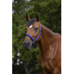 Capezzina Norton in nylon foderata in neoprene Blu reale