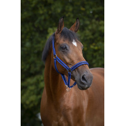 Capezzina Norton in nylon foderata in neoprene Blu reale / nero