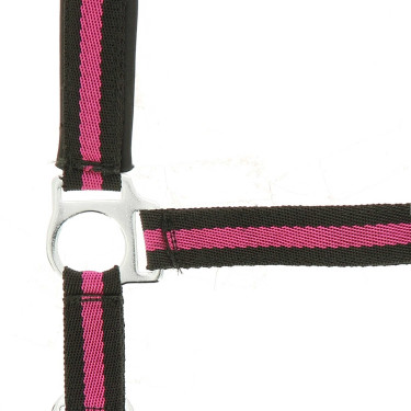 Capezzina Norton in nylon foderata in neoprene Nero / lampone Capezzina Norton in nylon foderata in neoprene Nero / lampone