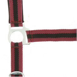 Capezzina Norton in nylon foderata in neoprene Bordeaux / nero Capezzina Norton in nylon foderata in neoprene Bordeaux / nero