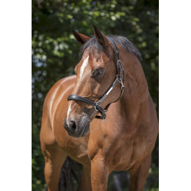 Capezza in cuoio Norton Pro Grooming Capezza in cuoio Norton Pro Grooming