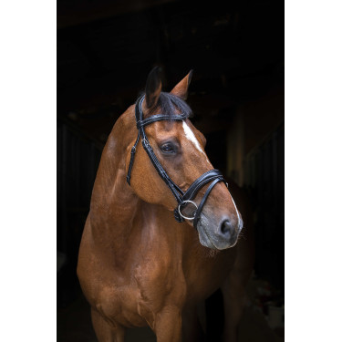 Bridon Eric Thomas Pro Wave Nero