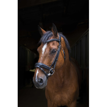 Bridon Eric Thomas Pro Design Nero