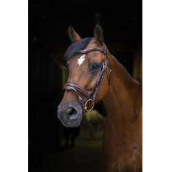 Bridon Eric Thomas Pro Design Avana Marrone