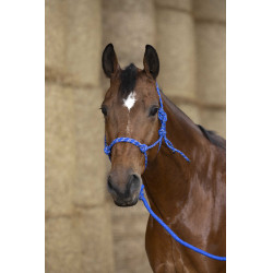 Capestro etologico Norton + lunghina Eco Blu / bianco / nero Capestro etologico Norton + lunghina Eco Blu / bianco / nero