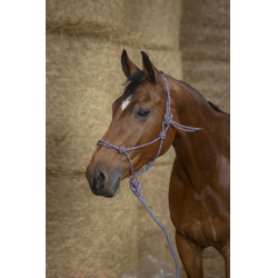 Capestro etologico Norton + lunghina Eco Grigio / lampone / nero