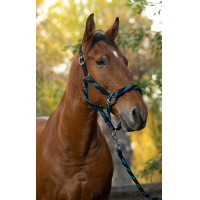 Capestro + lunghina Equitheme Intrecciato Turchese / blu marino / nero