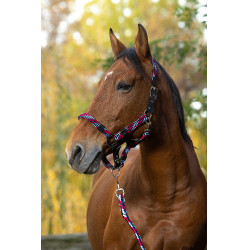 Capestro + lunghina Equitheme Intrecciato Fucsia / azzurro / blu navy Rosa