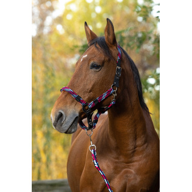 Capestro + lunghina Equitheme Intrecciato Fucsia / azzurro / blu navy Rosa
