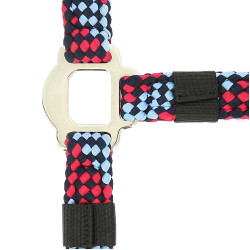 Capestro + lunghina Equitheme Intrecciato Fucsia / azzurro / blu navy Rosa