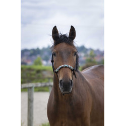 Capestro etologico Norton Pearl Nero