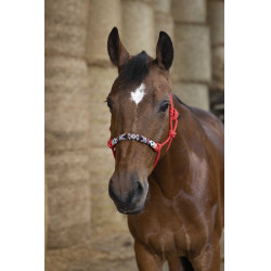 Capestro etologico Norton Pearl Rosso