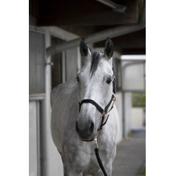 Capestro + lunghina Norton Rose gold Nero