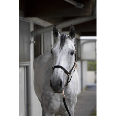 Capestro + lunghina Norton Rose gold Nero