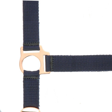 Capestro + lunghina Norton Rose gold Blu navy