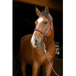 Capestro + lunghina Norton Brillant Rosso / blu navy / argento Capestro + lunghina Norton Brillant Rosso / blu navy / argento