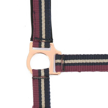 Capestro + lunghina Norton Brillant Prugna / blu navy / oro rosa Viola Capestro + lunghina Norton Brillant Prugna / blu navy / oro rosa Viola
