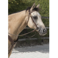 Bridon Westride di Franck Perret Colorado Cioccolato Marrone