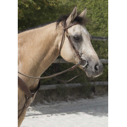 Bridon Westride di Franck Perret Colorado Cioccolato Marrone