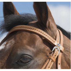 Bridon Westride di Franck Perret Aurora Nocciola Marrone