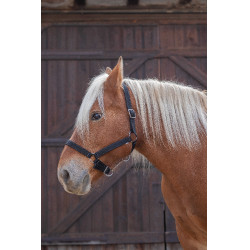 Capestro Norton Pro per cavallo da tiro Nero Capestro Norton Pro per cavallo da tiro Nero