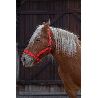Capestro Norton Pro per cavallo da tiro Rosso
