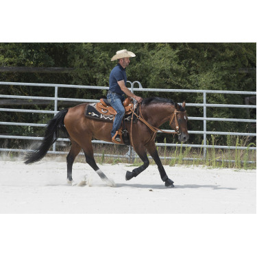 Sella Westride by Franck Perret Aurora Nocciola Marrone