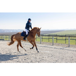 Giacca trapuntata Pro Series Diagonal Blu navy