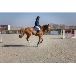 Giacca trapuntata Pro Series Diagonal Blu navy