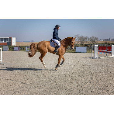 Giacca trapuntata Pro Series Diagonal Blu navy