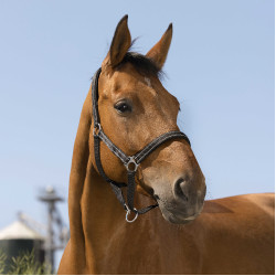 Capestro Norton Reflective Nero