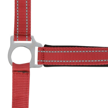 Capestro Norton Reflective Rosso
