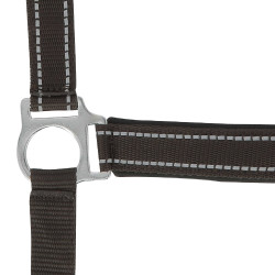Capestro Norton Reflective Cioccolato Marrone