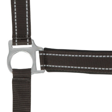 Capestro Norton Reflective Cioccolato Marrone