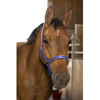 Capestro Norton Reflective Nero