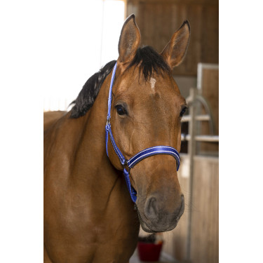 Capestro Norton Reflective Blu