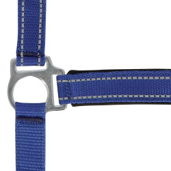 Capestro Norton Reflective Blu