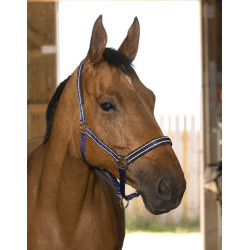 Capestro Norton Reflective Blu navy