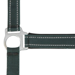Capestro Norton Reflective Verde
