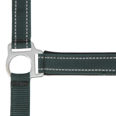 Capestro Norton Reflective Verde