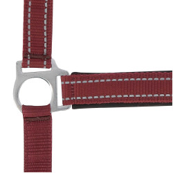Capestro Norton Reflective Bordeaux