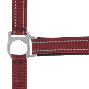 Capestro Norton Reflective Bordeaux